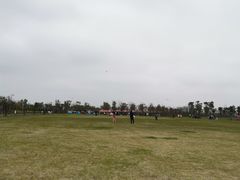 -春花秋色城市公园