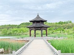 -江苏三台山国家森林公园