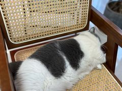 -seeu coffee(江滩店)