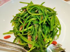 -玖尹-新派中式餐酒馆