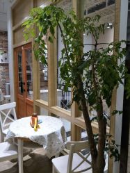 -星豆豆儿童摄影(南郊太白南路店)