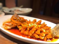 松鼠桂鱼-鱼食饭稻·苏浙土菜17年老馆子(平江路店)