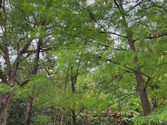 -深圳国际园林花卉博览园