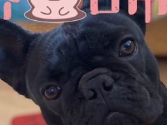 -郑在DIY·潮玩银饰绘画手作(中央大道旗舰店)