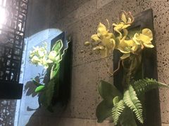 -呷哺呷哺 黄金牧场 (回龙观港龙店)