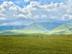 -新疆那拉提国家旅游度假区