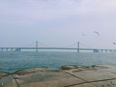 -星海湾跨海大桥