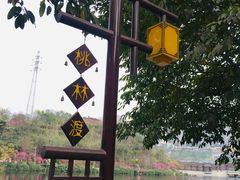 -重庆彩云湖湿地公园