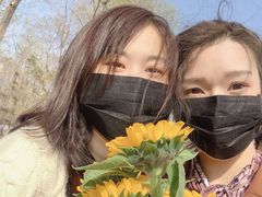 -长白岛森林公园