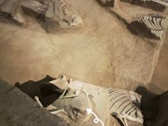 -洛阳周王城天子驾六博物馆