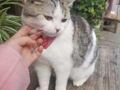 -飘香酒馆·私房菜