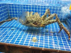 -徽三说·土徽菜·中国徽菜连锁品牌(一中店)