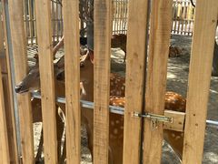 -水上乐园·欢乐世界