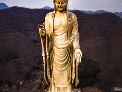 -中原大佛景区