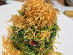 巧拌豆苗-四季民福烤鸭店(前门廊房二条店)