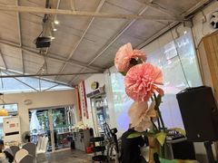 -芭厘农庄老字号·清远鸡
