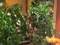 -慢丽江·云南野生菌土鸡锅(付家庄店)