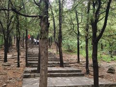 -青州市云门山风景区