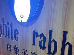 -白兔子密室(长寿路店)