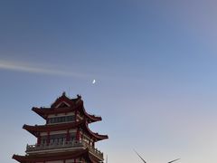 -碧海金沙