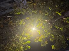 -乌石村