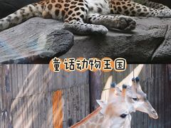 -长鹿旅游休博园