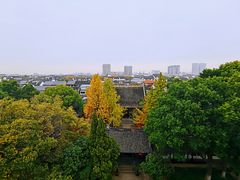 -常熟方塔园