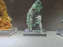 -陕西自然博物馆