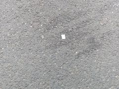 -好利来(木渎店)