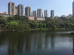 -重庆彩云湖湿地公园
