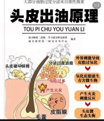 -Bollins波林丝•专研护发中心