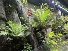 -碧涛阁水世界酒店(万家丽路店)