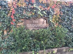 -The Grounds of Alexandria
