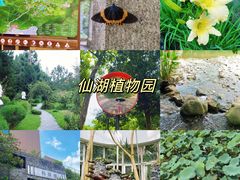 -深圳市中科院仙湖植物园