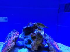 -上海海洋水族馆