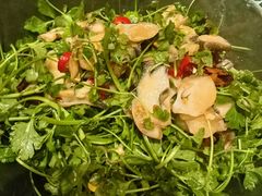 三叶香拌螺片-朝馆·市井本味菜