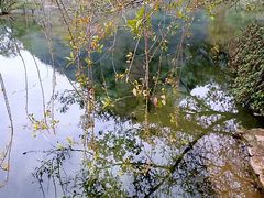 -靖西鹅泉风景区