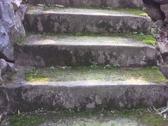 -鹿亭中村