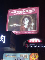 -四叶草环球旅拍