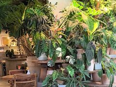 -自由生长植物工作室(深港花卉中心店)