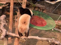 -一只酸奶牛(八一路店)