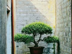 -天一阁博物院
