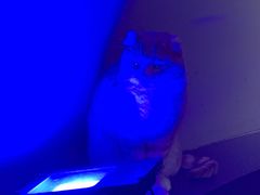 -极木²邸 人与宠物·互动社区