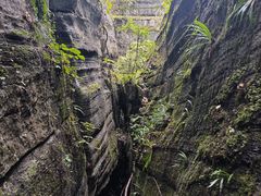 -梭布垭石林景区