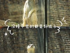 -北京动物园