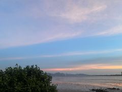 -深圳湾公园(南山区)