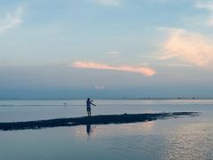 -北海金海湾红树林生态旅游区