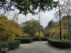-塔子山公园