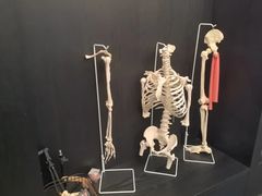 -TOP健身私教工作室(侨香店)