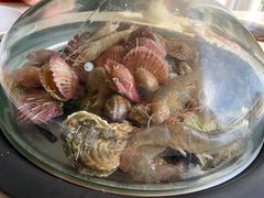 -港畔赶海蒸汽海鲜烧烤自助(仙螺岛店)